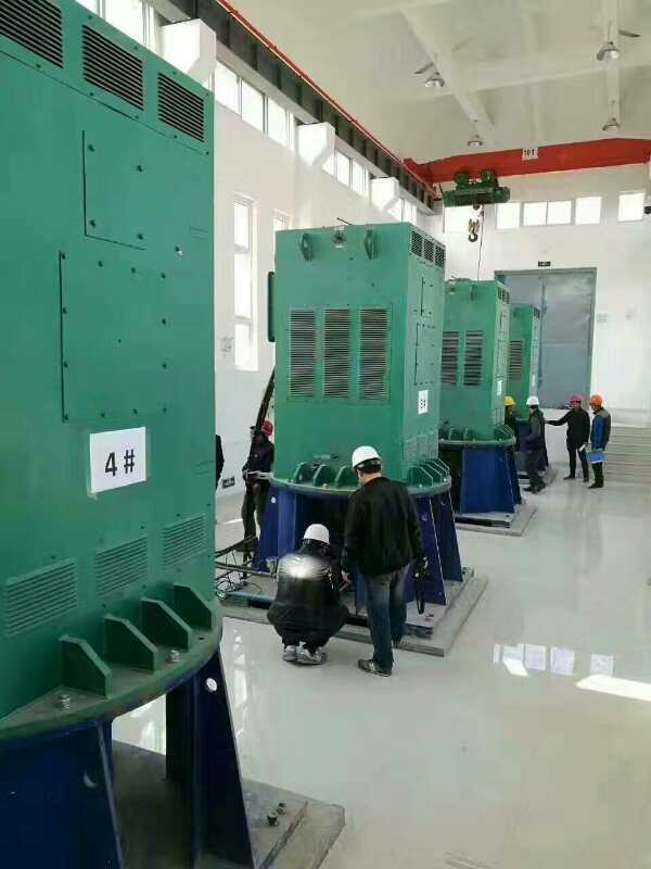 天宁某污水处理厂使用我厂的立式高压电机安装现场